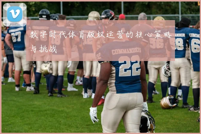 数字时代体育版权运营的核心策略与挑战