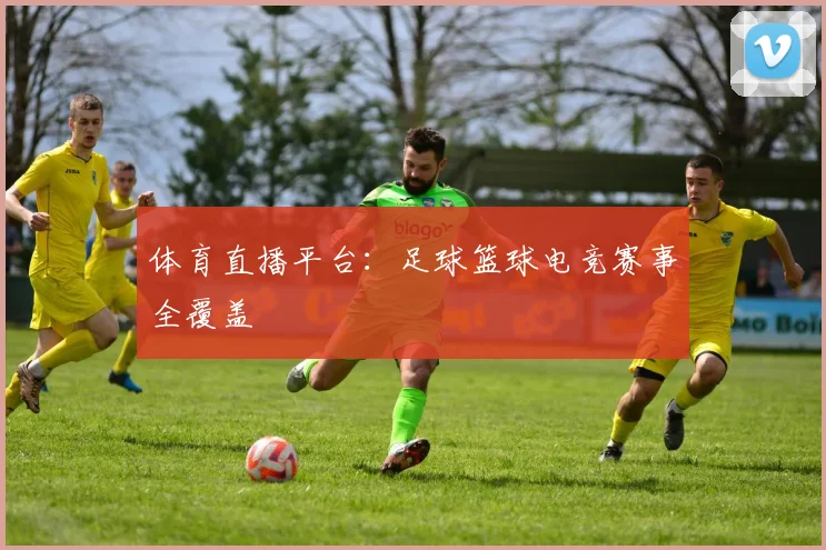 体育直播平台：足球篮球电竞赛事全覆盖